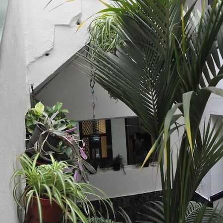 Falow Las Palmas de Gran Canaria Eksteriør billede